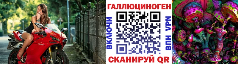 Галлюциногенные грибы Psilocybine cubensis  цена наркотик  Асино 